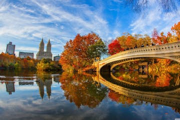 A bridge in Central Park