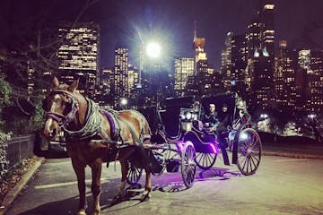 A carriage at night