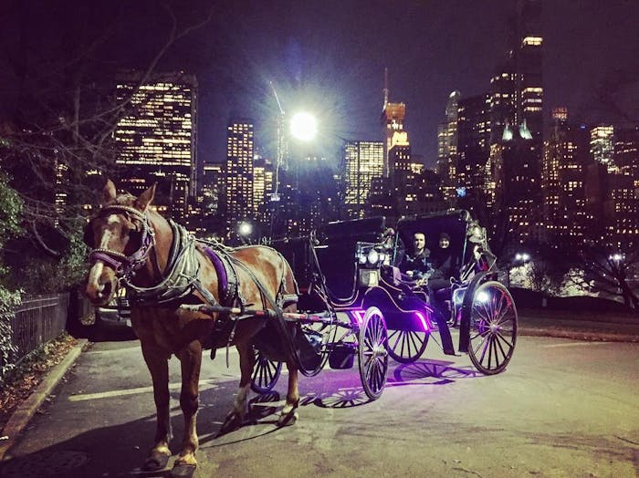 Short Central Park Horse Carriage Ride | New York City Adventure