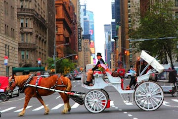 a man riding a horse drawn carriage on a city street