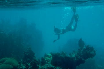 Woman snorkeling underwater in Vieques Island