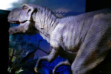 A photograph of an animatronic T. rex against a blue background.