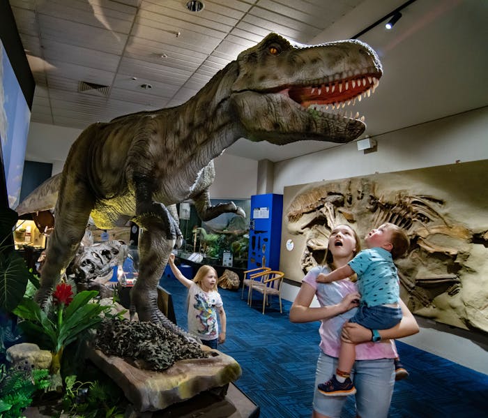 Gestaag Wet en regelgeving basketbal Dinosaur Museum Admission Tickets | The National Dinosaur Museum
