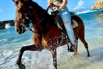 a person riding a horse in the water