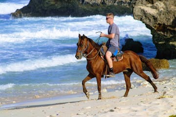 a person riding a horse on a beach near a body of water