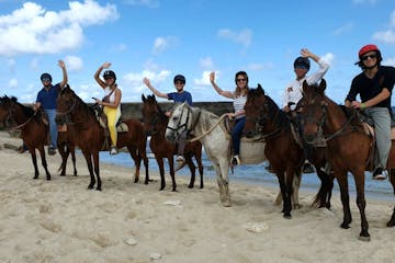 a group of people riding a horse on a beach