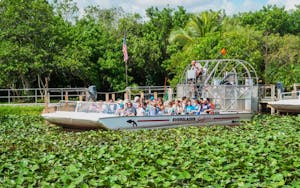Airboat Ride in Miami + Boat Cruise = Miami On The Water