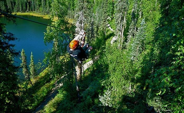 Stoney Creek Canopy Adventures, Canopy tour on the…