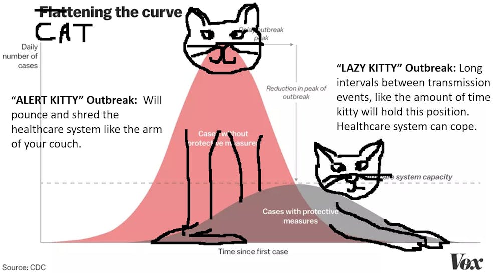 Cattening The Curve
