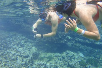 Divers with a go pro