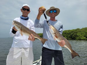 Fishing Tampa Bay and Clearwater Florida for Redfish