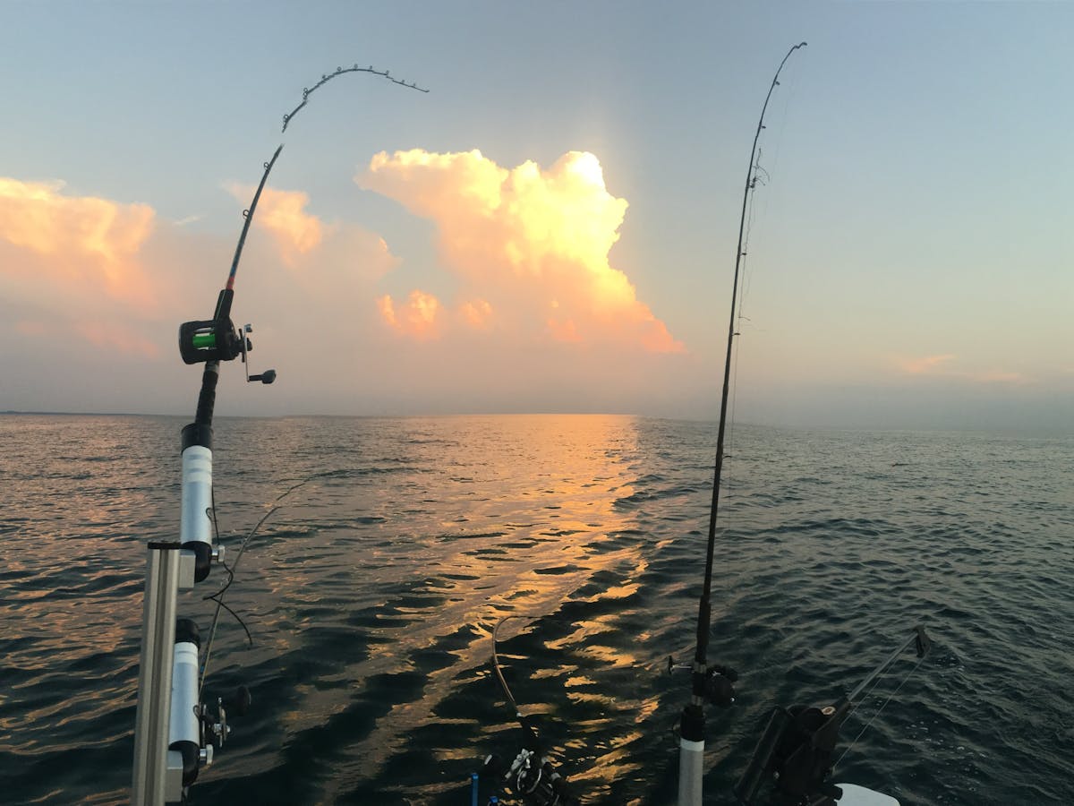 lake michigan fishing charters