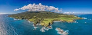 The 10 Best Things To Do On Vacation To Maui 808 Mopeds