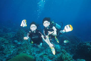 Experience Diving