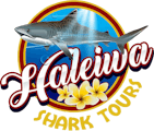 Haleiwa Shark Tours