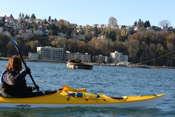 Woman staring at sea lions from a kayak