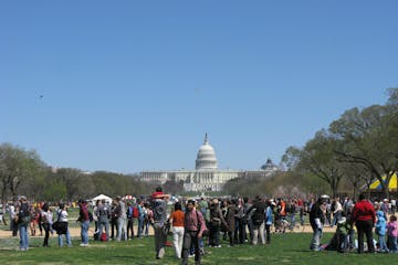 People hanging out in Washington DC