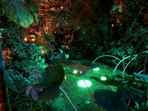 Green garden plants at night lit with candle light