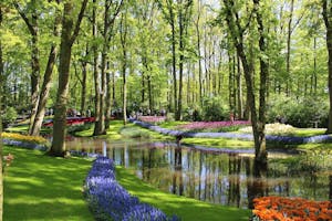 a river running through a park with colorful flowers
