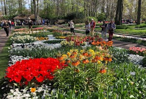a group of people in a flower garden