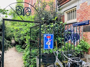 unpaved path in Amsterdam - weird things to do