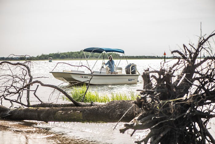 Water Taxi Service - Savannah | Mermaid Pirate Dolphin Tour