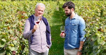 tasting wine in a vineyard tour
