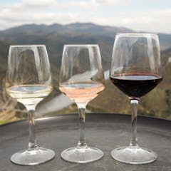douro wine tour