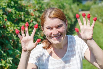 Berries farm experience