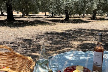 Olive Oil Farm Picnic