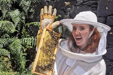 madeira beekeeping tour