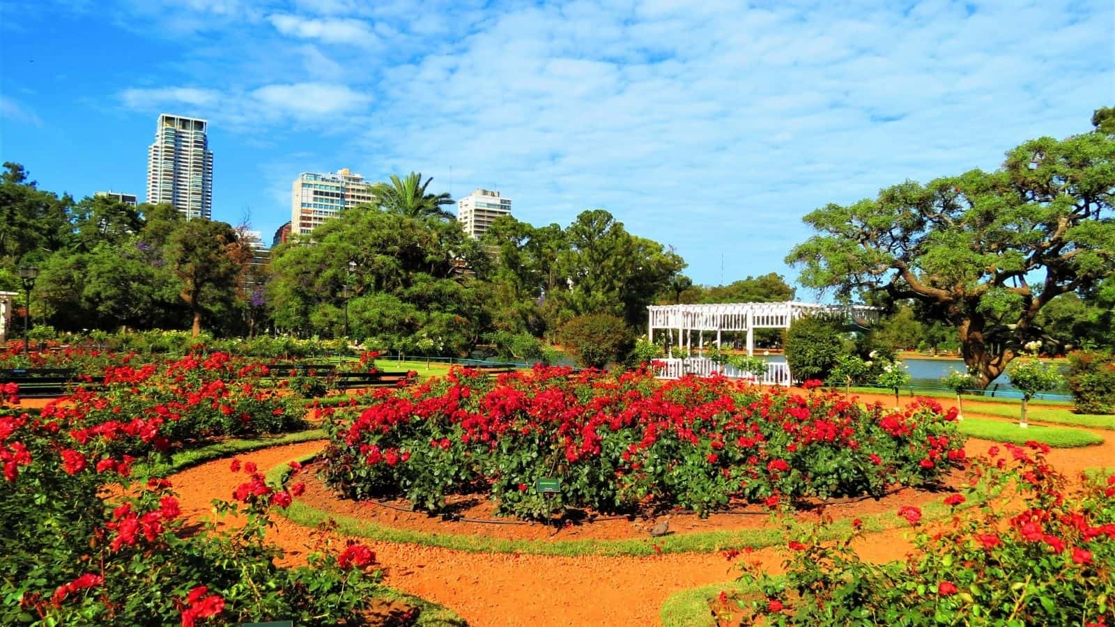 Palermo's Rose Garden, Buenos Aires, Argentina.