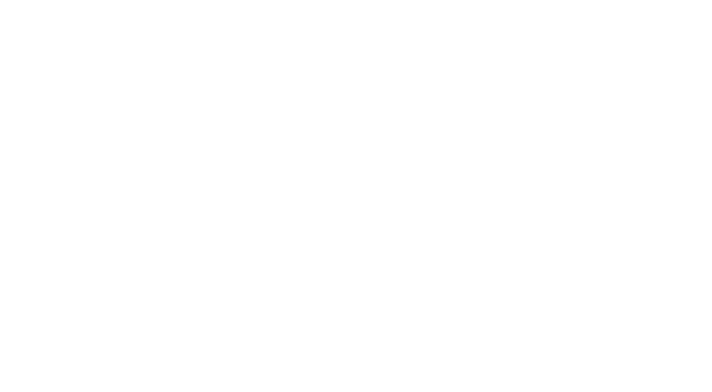 Loco Wheels Logo Footer