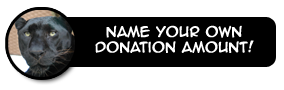 Make a Donation Button