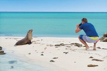 Guy taking a photo of a seal in the beach