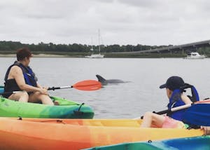 family kayaking in hilton head spotting a dolphin behind them