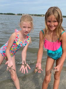 children finding sand dollars on the beach