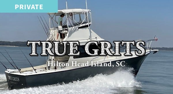 Hilton Head Fishing Charters  Inshore, Nearshore, & Dolphin Tour