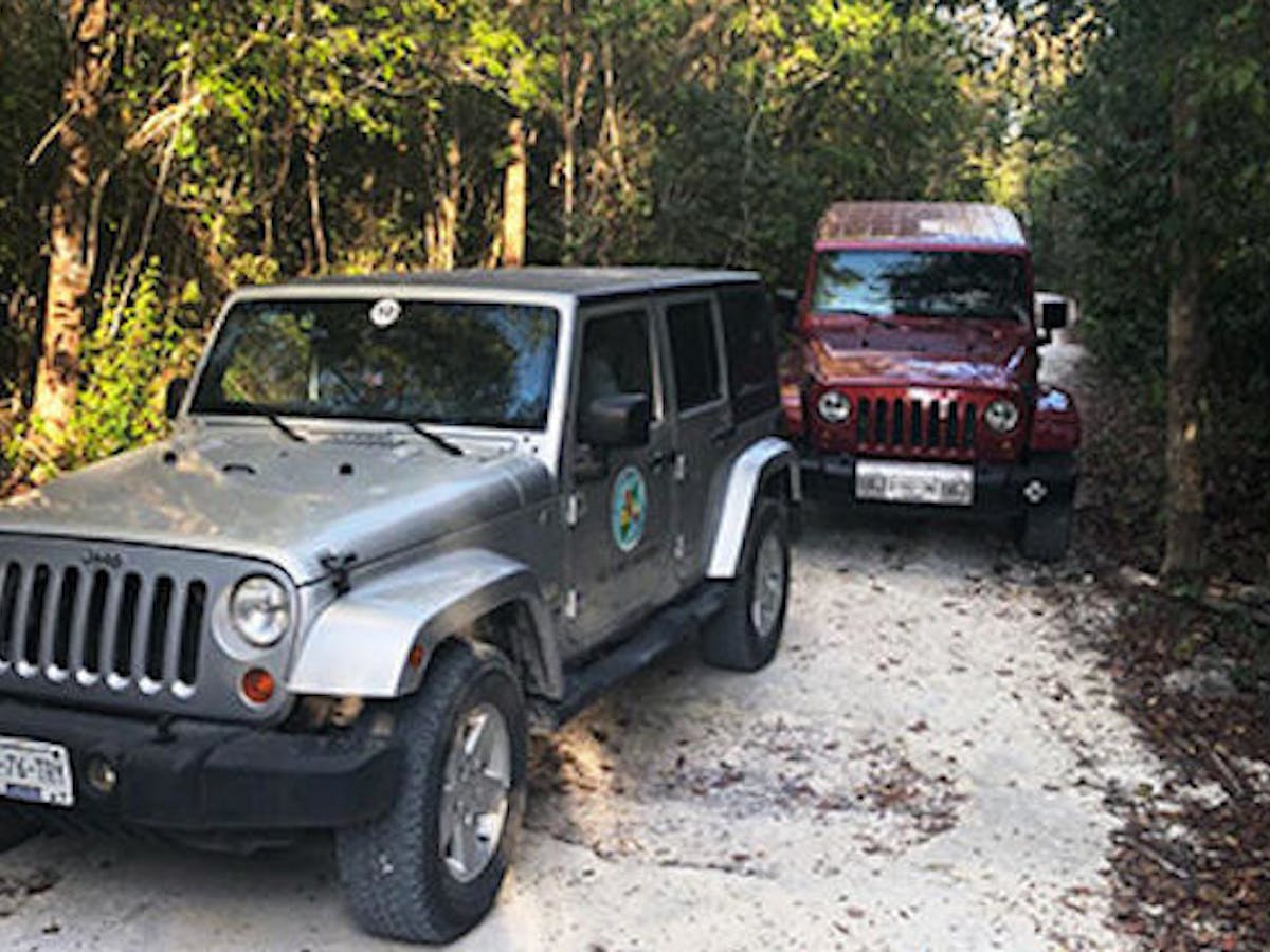 two jeeps on a trail