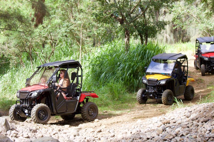 Waipio Valley Tours via UTV | All About the View