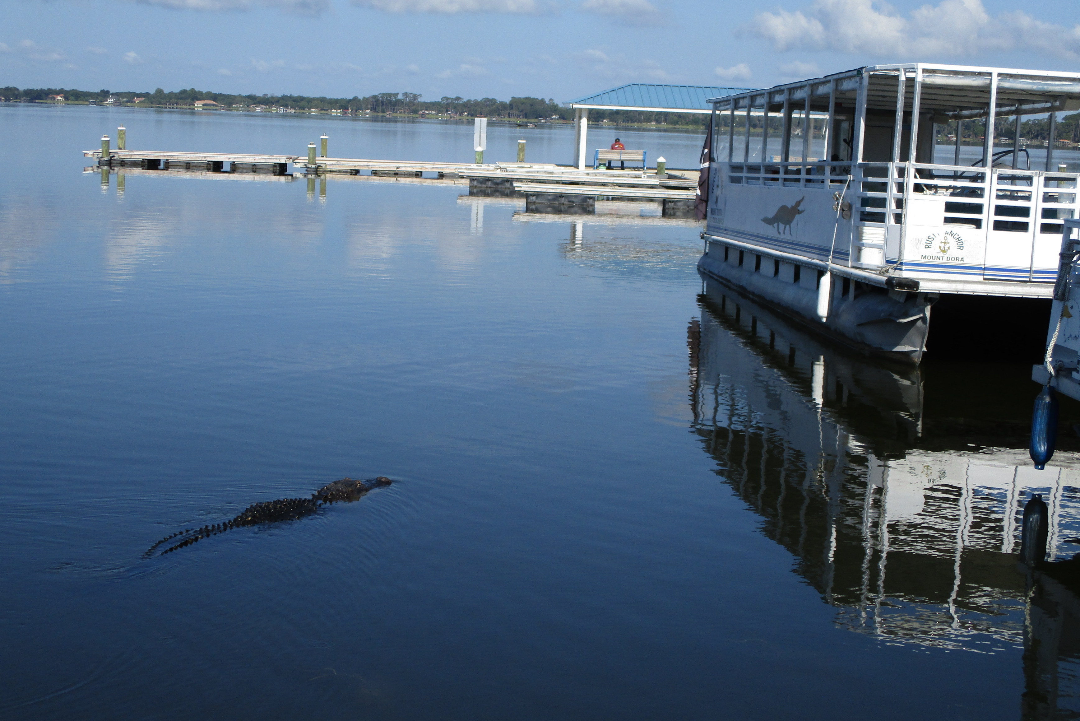 About Rusty Anchor Mount Dora   Rusty Anchor May 2019 004 1 