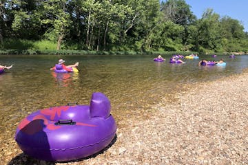 a group of pink and purple boat in the water
