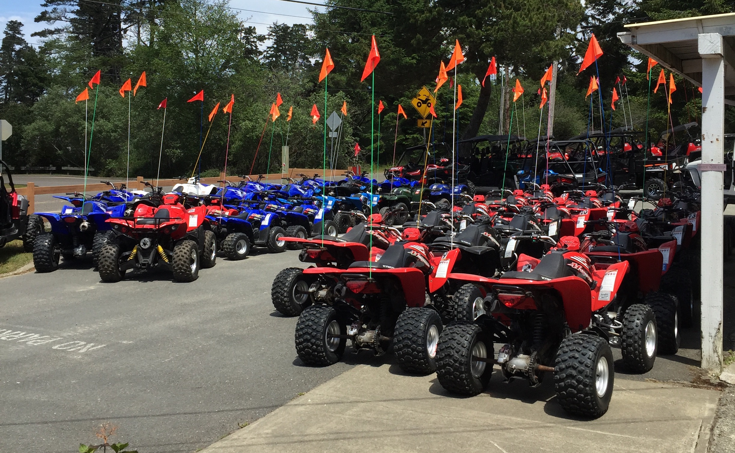spinreel dune buggy and atv rentals and tours
