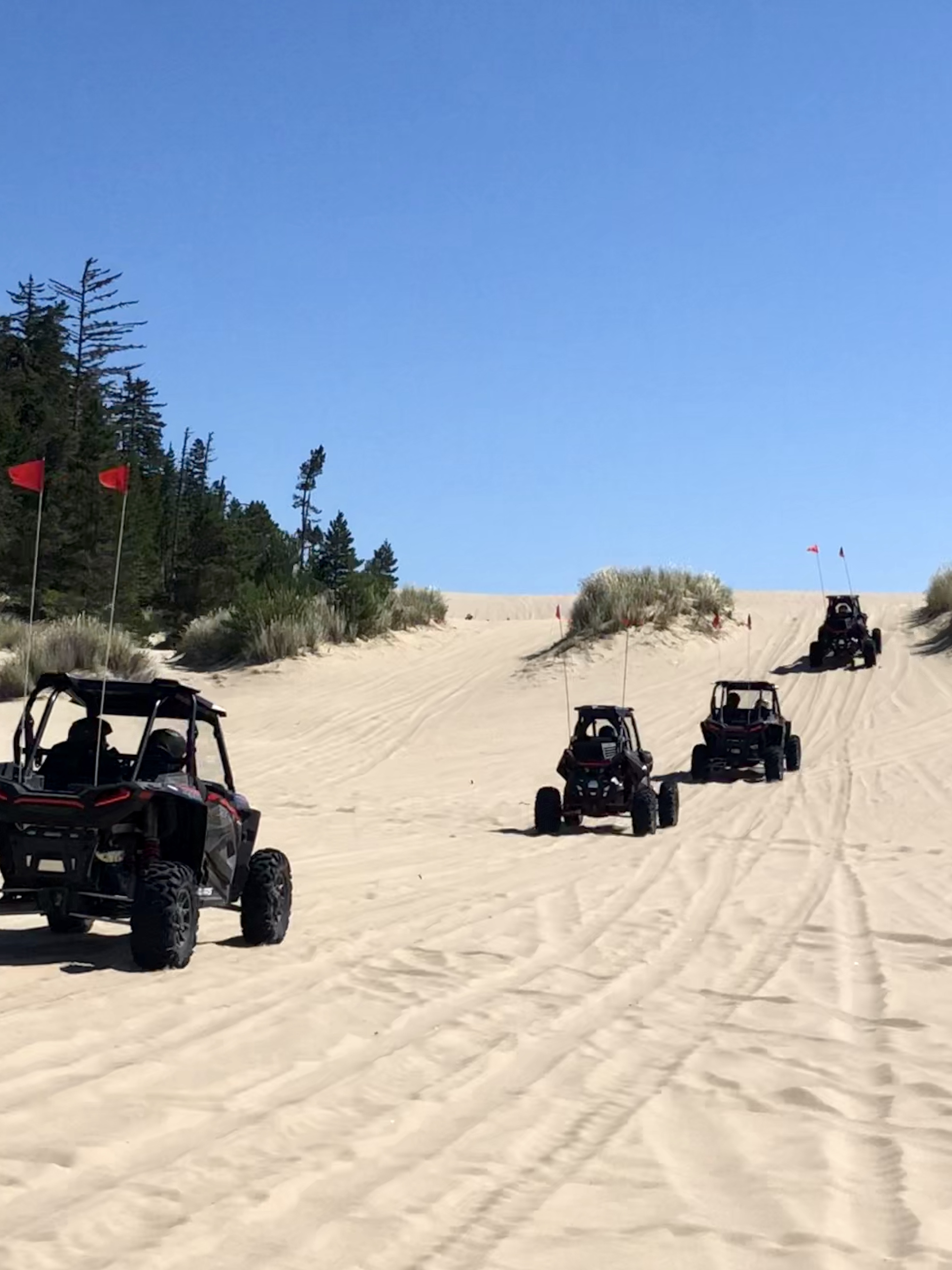 spinreel dune buggy and atv rentals