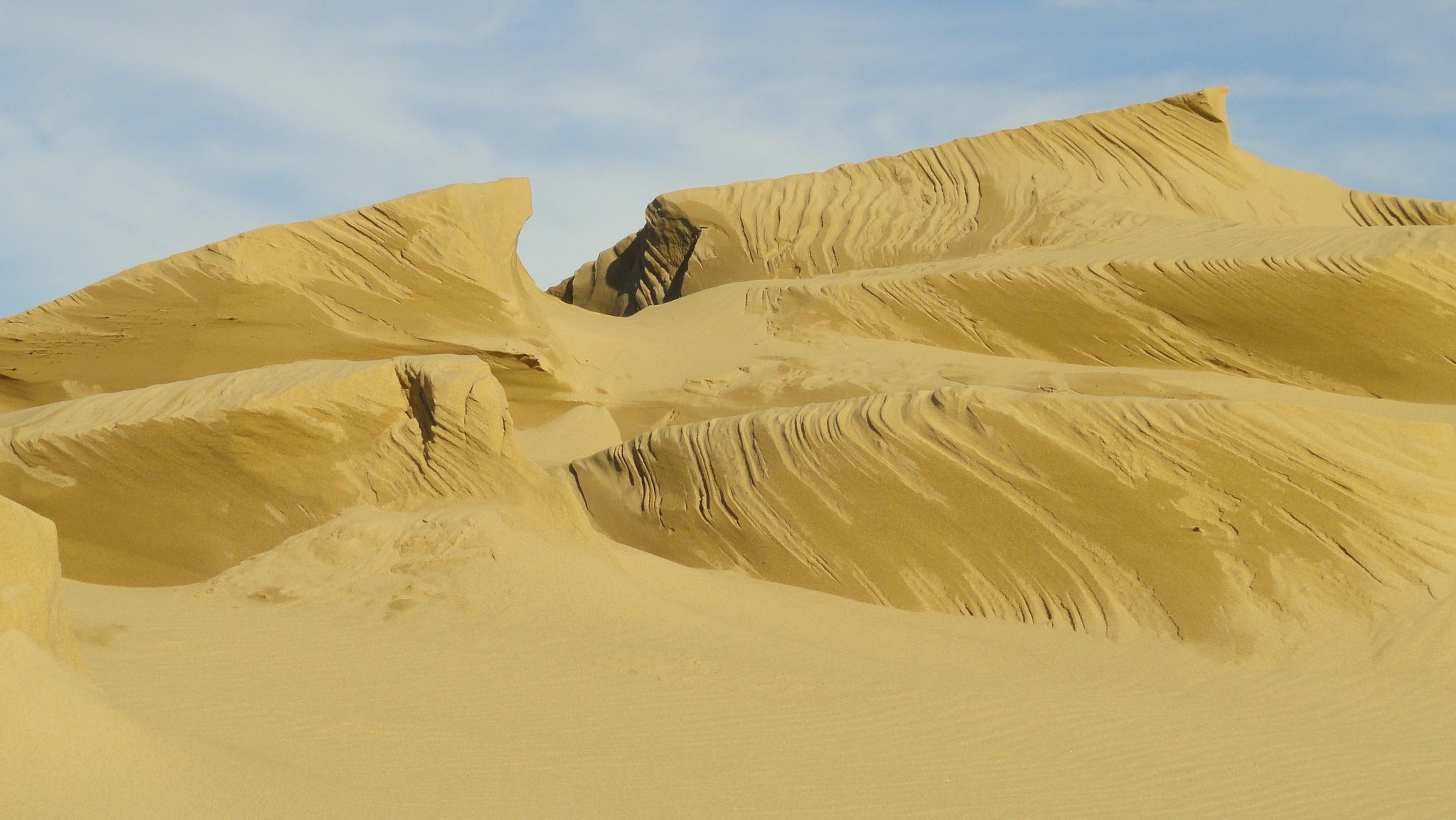 spinreel dunes