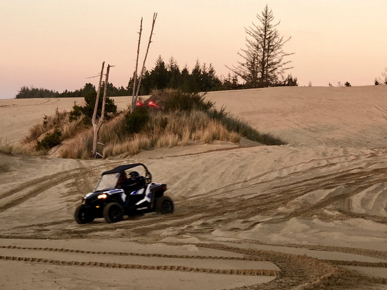 spinreel dune buggy rentals