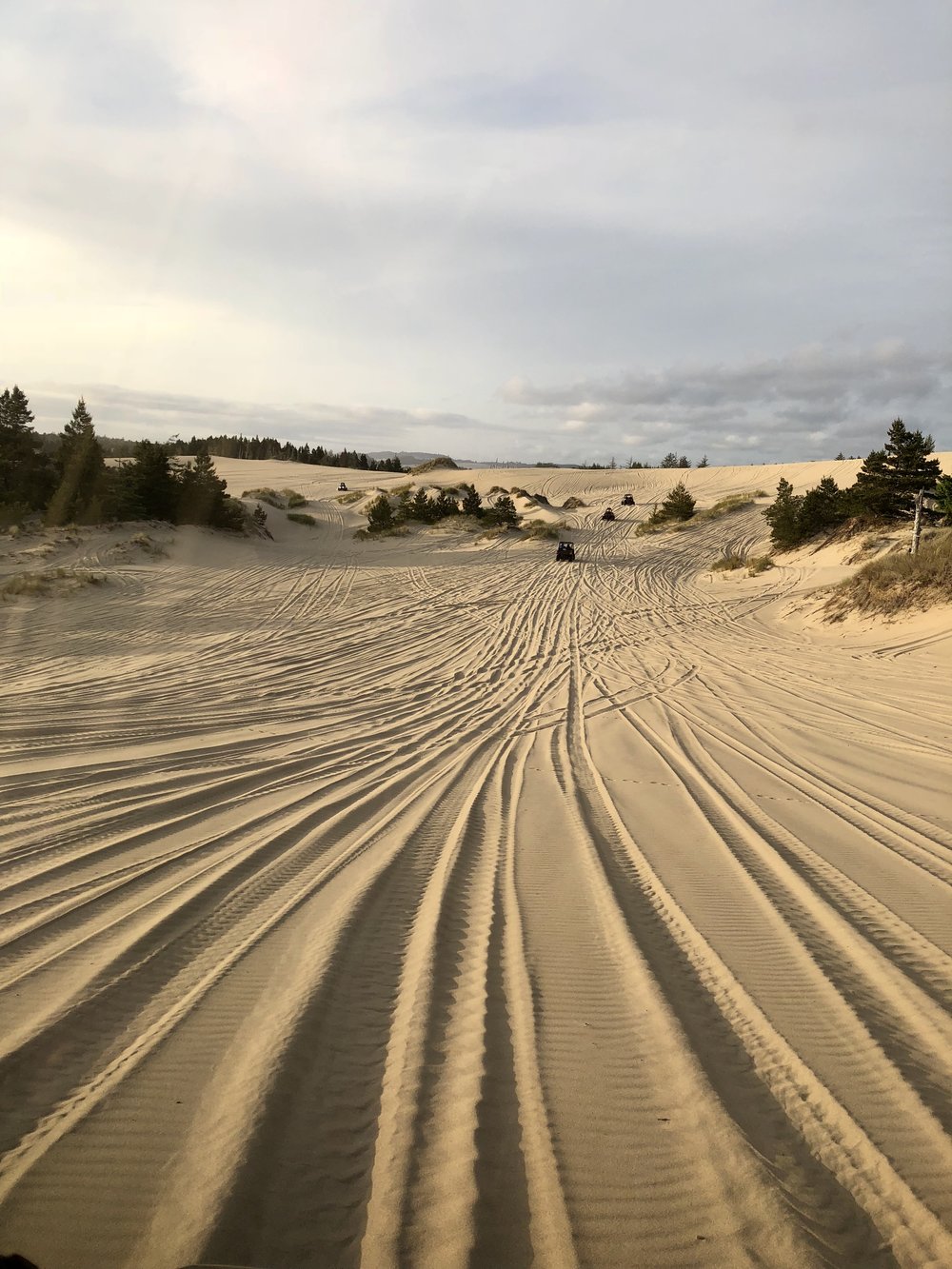 spinreel dunes