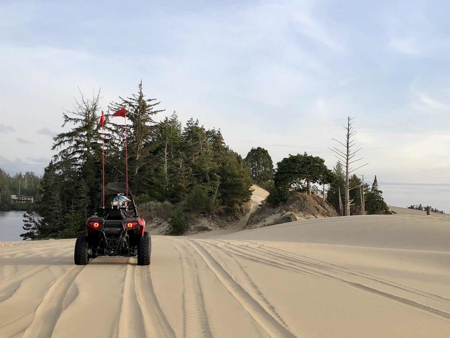 spinreel dune buggy