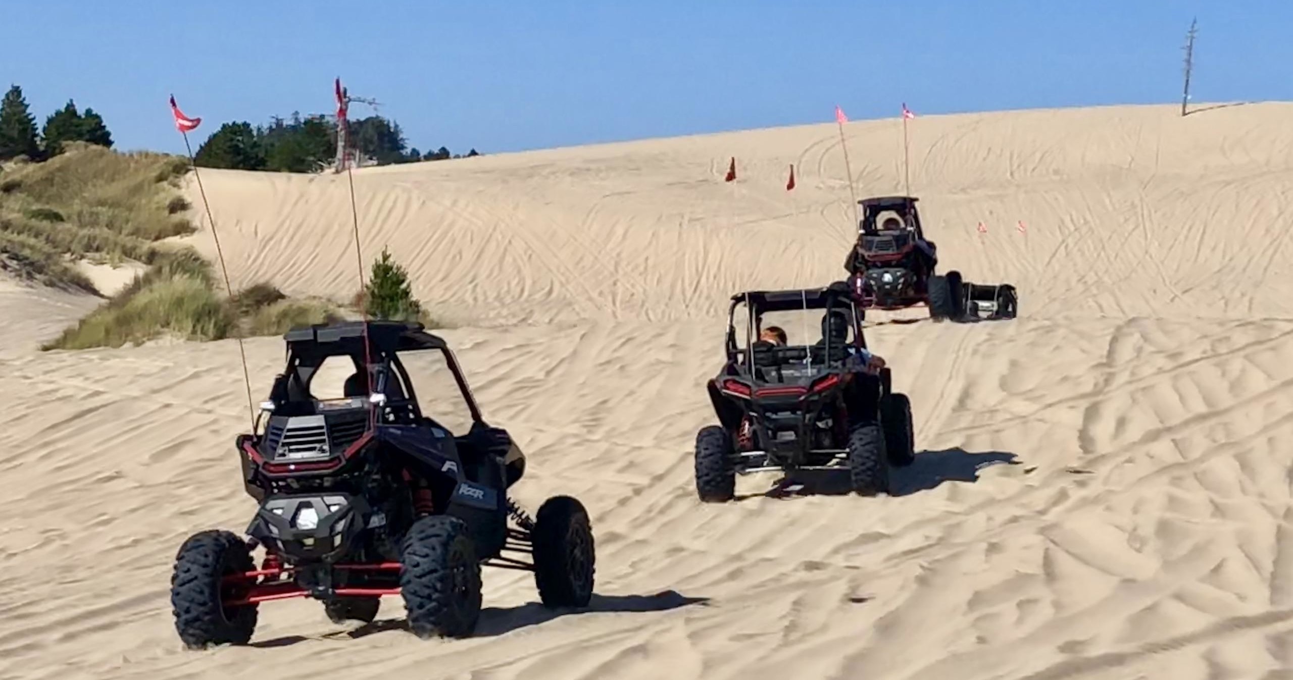 buggy tours near me
