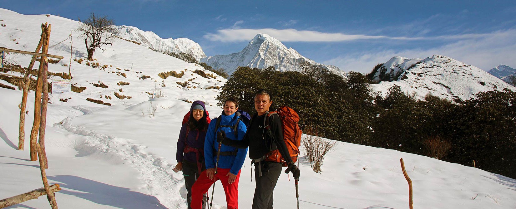 kathmandu trekking pole